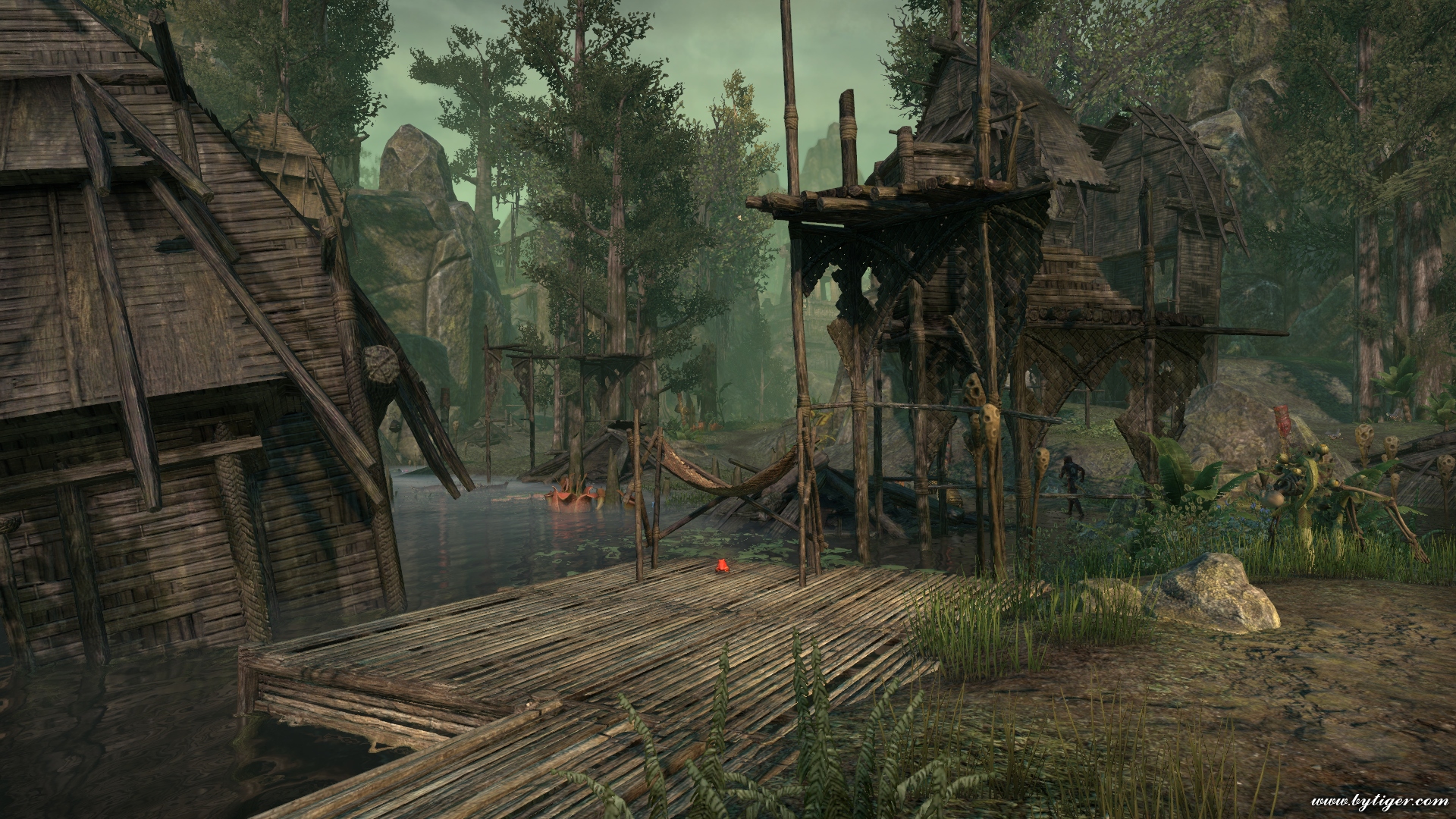 Blackwoods Borderlands