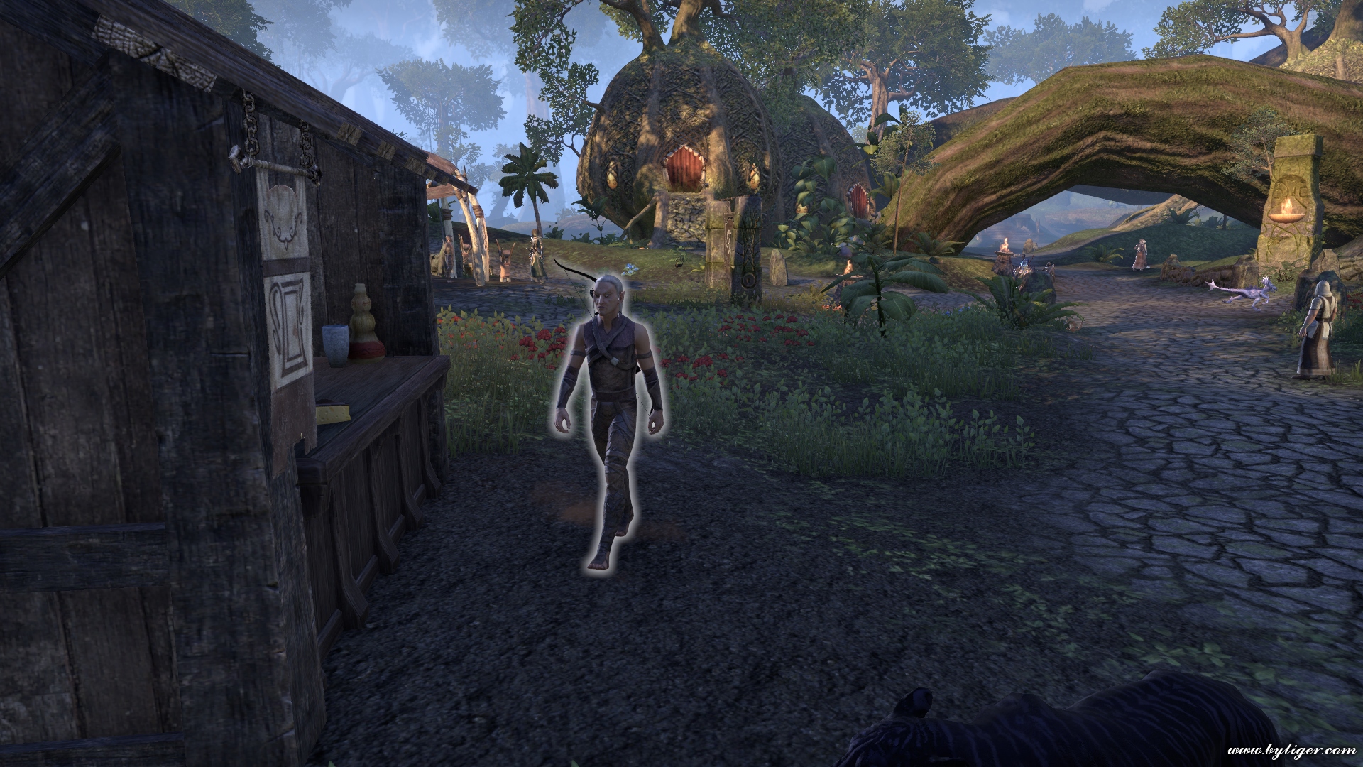 Dirdelas, sometimes can be found near Outside inn. (From Elden Root, I offer he who is as aged and gnarled as the trees, his back bowed but not bent)