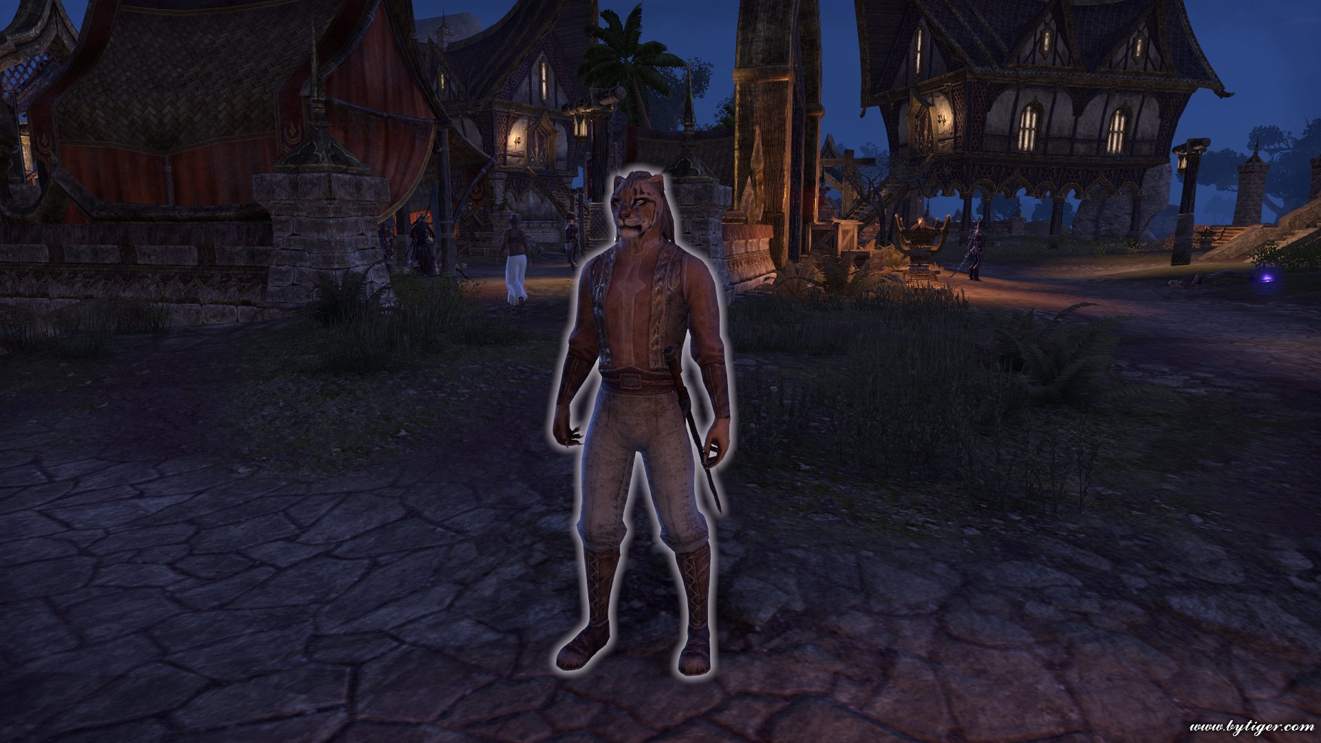 His name is Dablir. Walking around center part of city (From Rawl'kha, I offer he who clothes his stripes of brown with stripes of gold).
